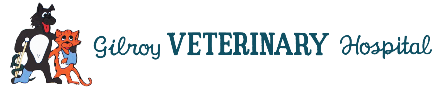 Gilroy Veterinary Hospital Logo